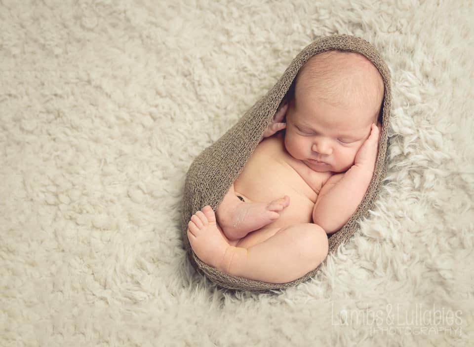 coral gables newborn photographer