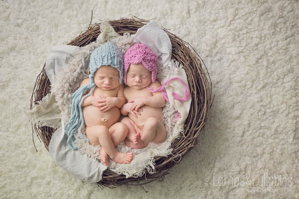 miami twin newborn photography