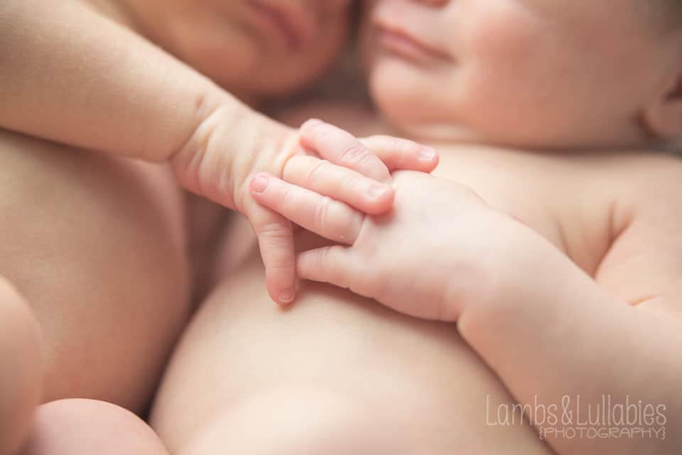 newborn twins holding hands