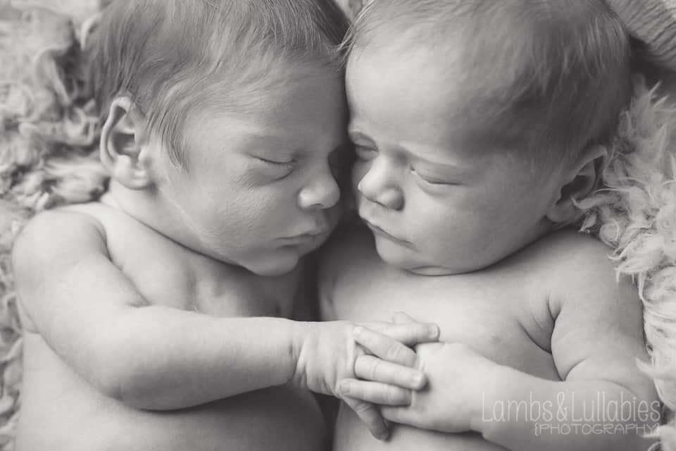 twin newborn babies snuggling