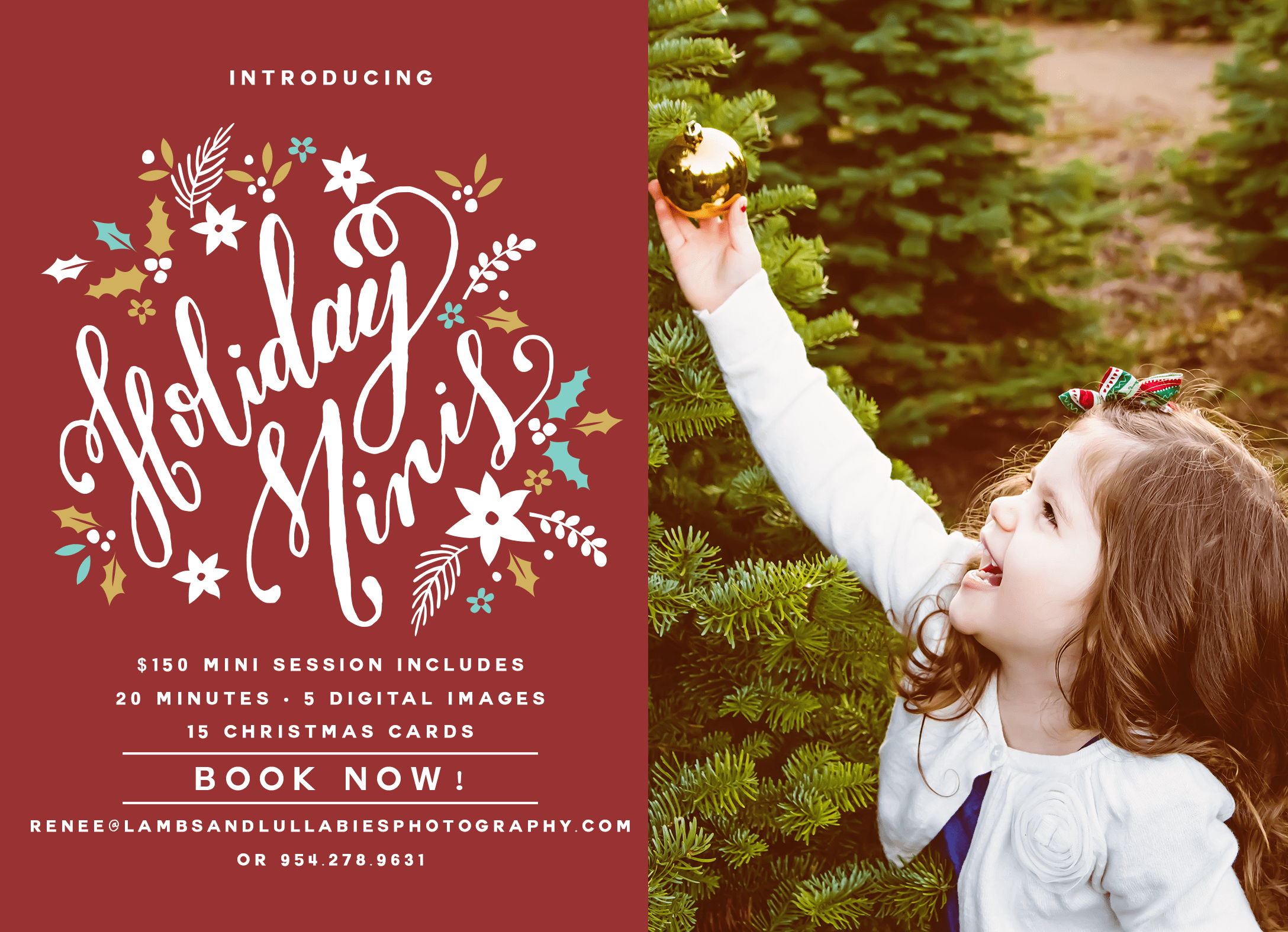 Holiday and Christmas mini-sessions