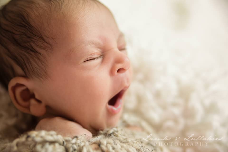 newborn photographer ft lauderdale fl