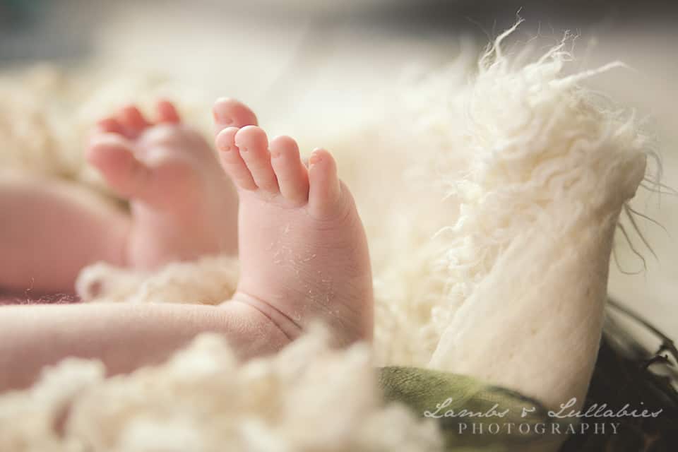 pompano beach fl newborn photographer