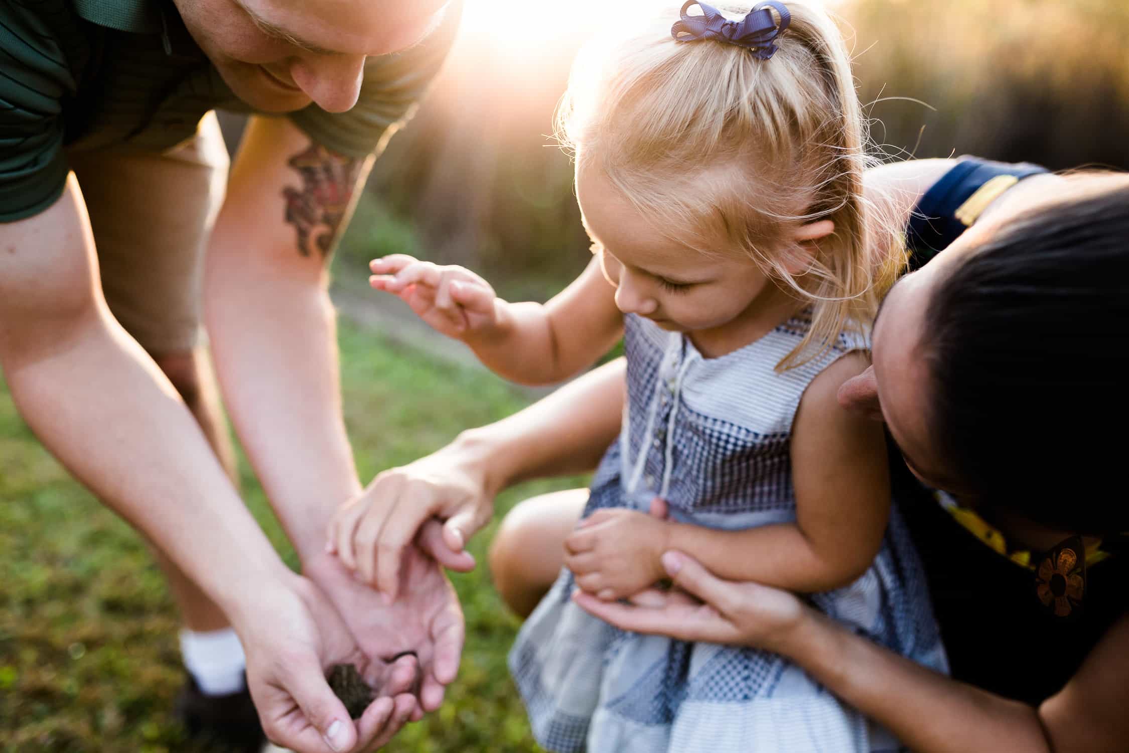 Family photography in kansas city family finds a baby toad